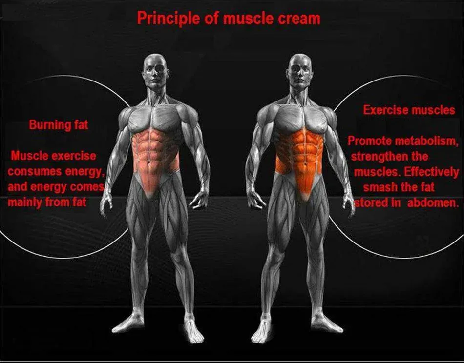 Aichun Beauty Eight Pack Abdominal Essential Oil for Men Strong Belly Burning Muscle Fat Remove Renews Skin Weight Loss Slimming Oil