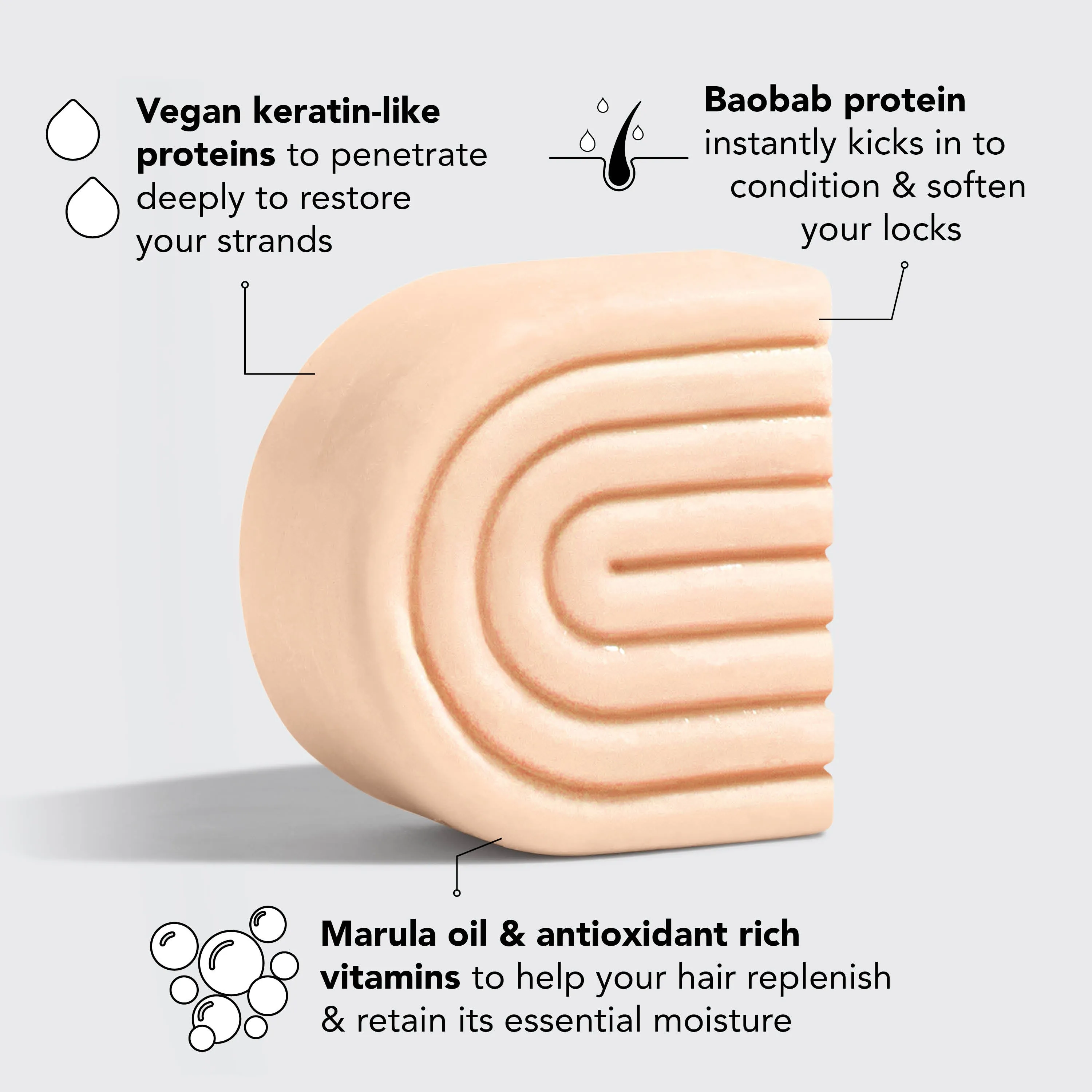 Shampoo   Conditioner   Body Wash   FREE Shampoo & Conditioner Wall Mount