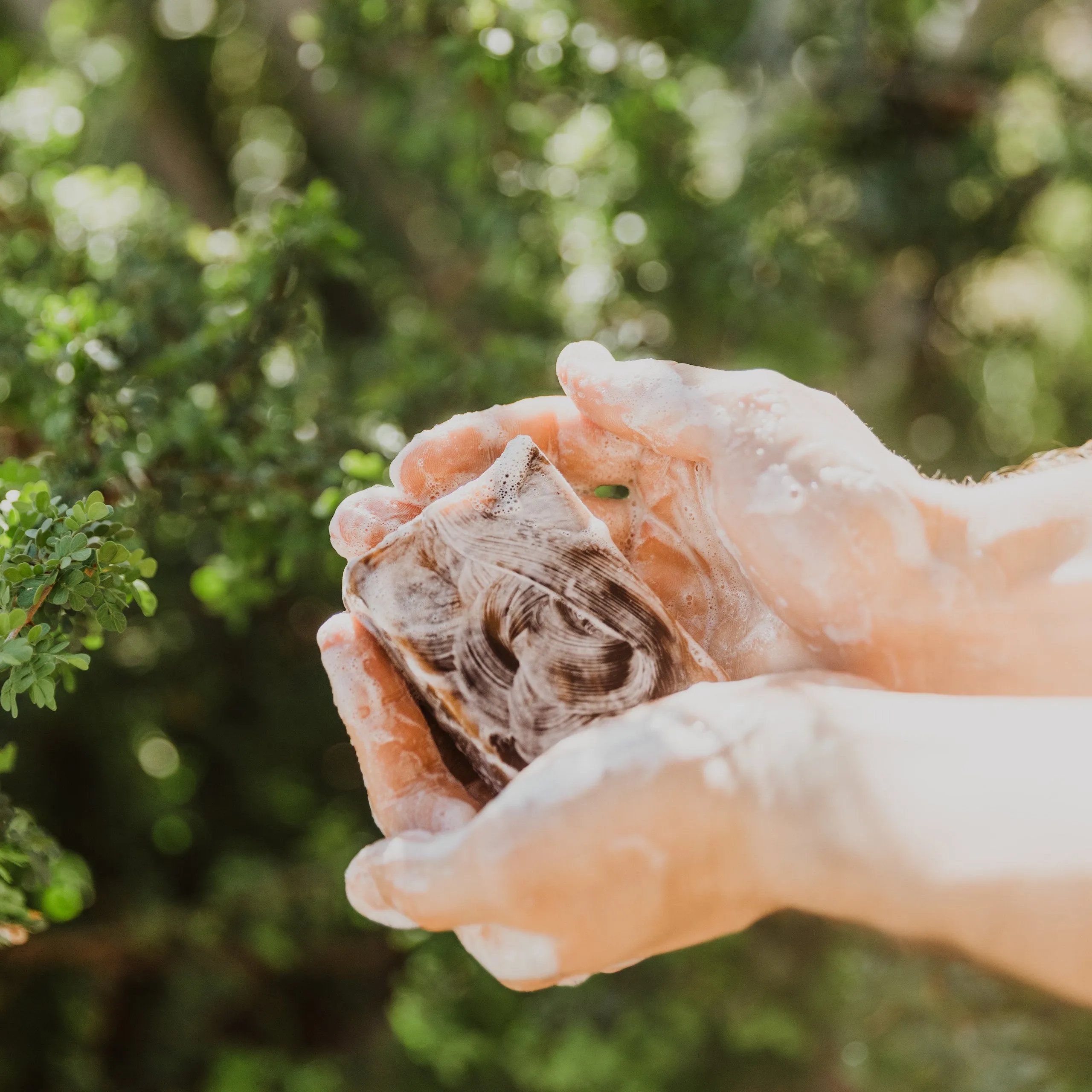 Subscribe to your Favorite Scent of Handmade Soap